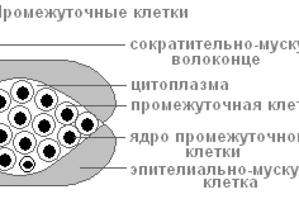 Блэк спрут не работает сегодня