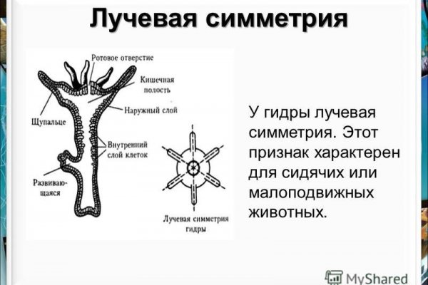 Как найти сайт блэкспрут