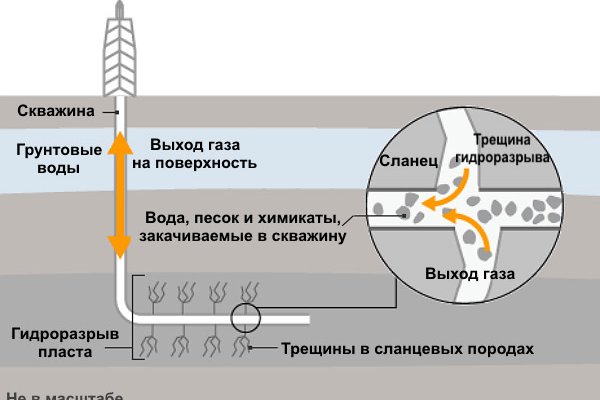 Блэк спрут новая ссылка